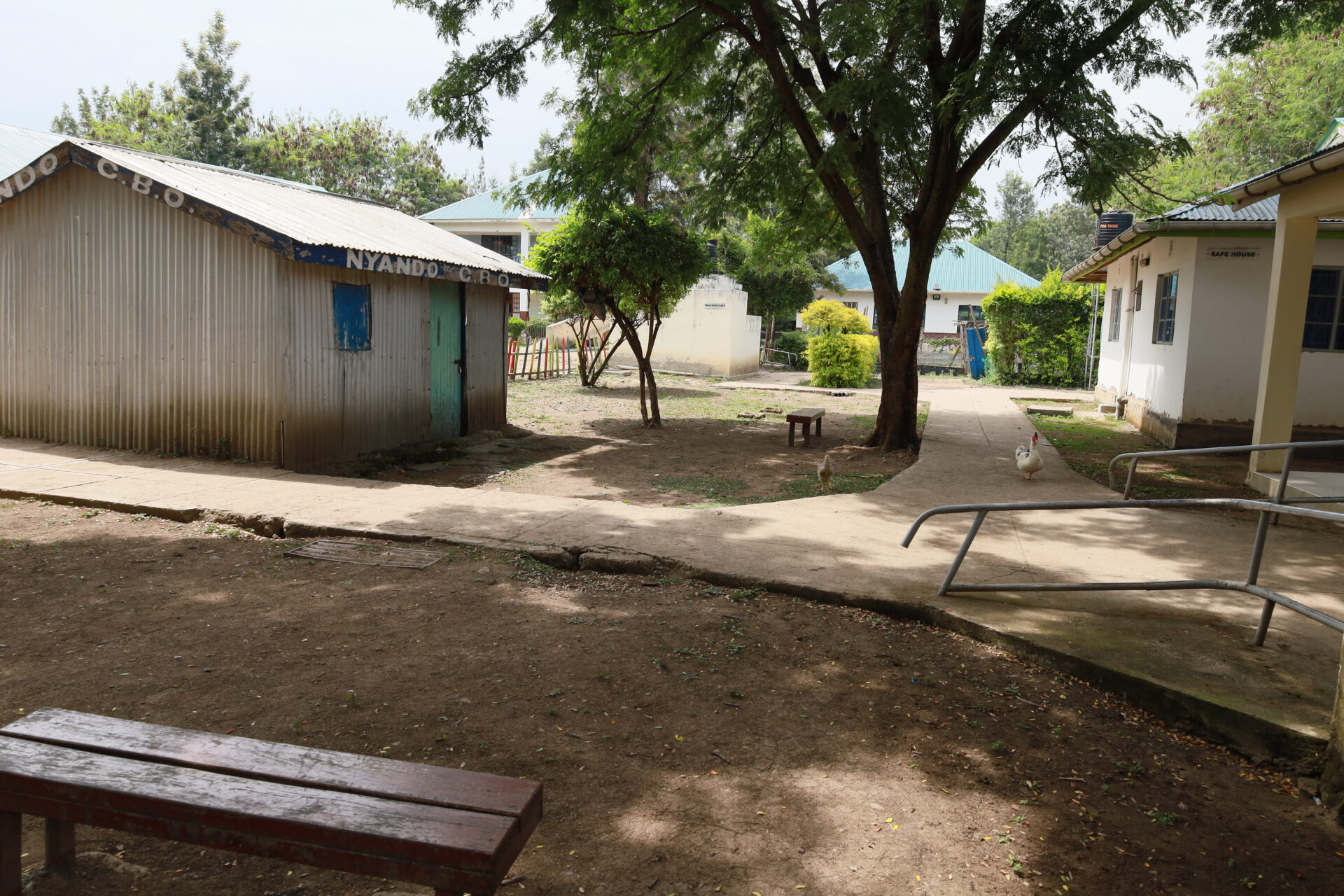 Image10