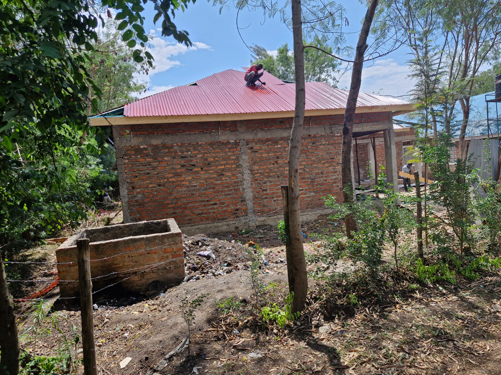 Image11