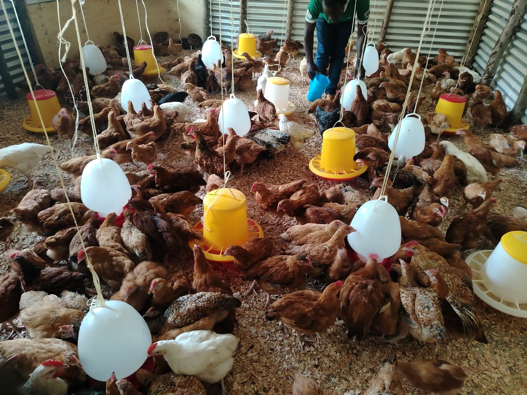Ein Stall, der eine Familie trägt